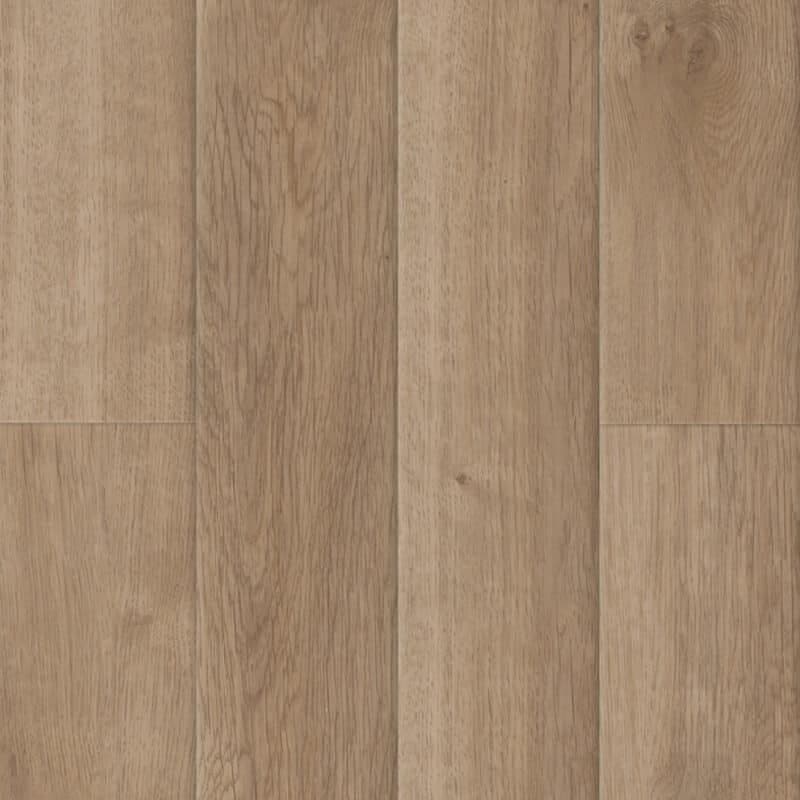 Copano Oak