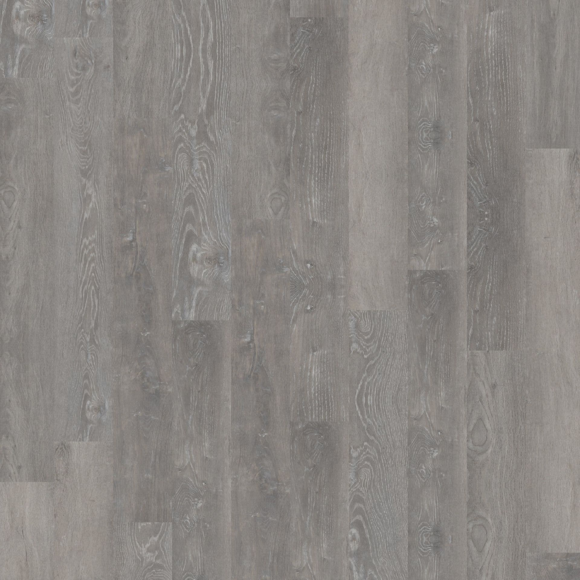 Elmwood Ash Swatch