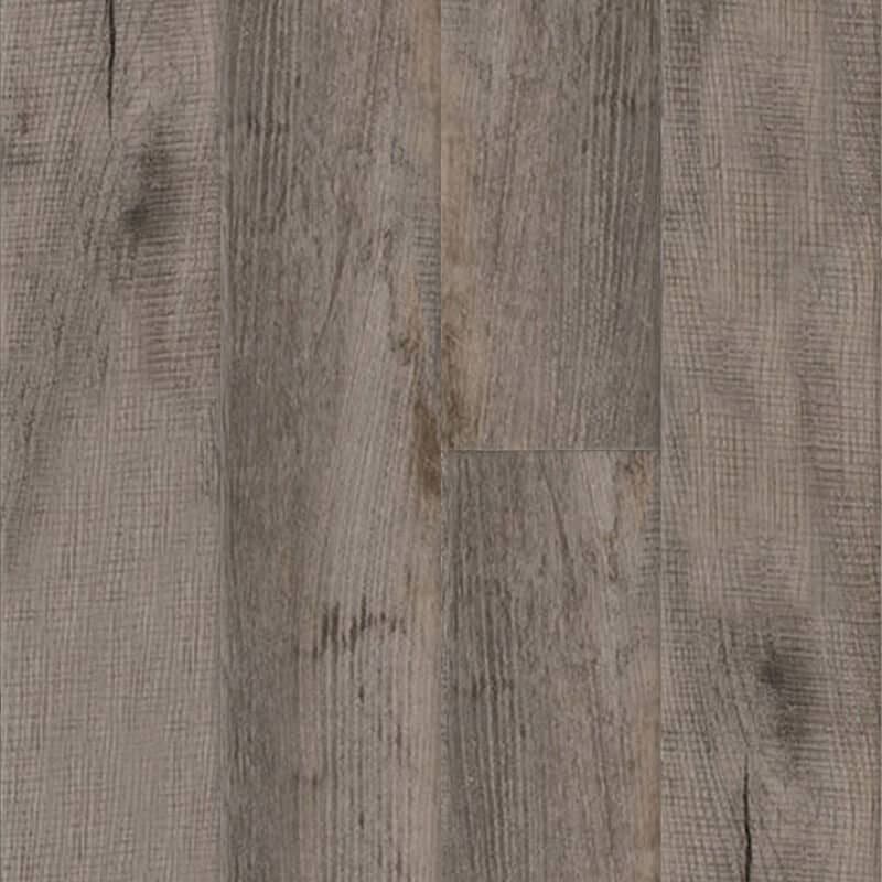 Galveston Oak