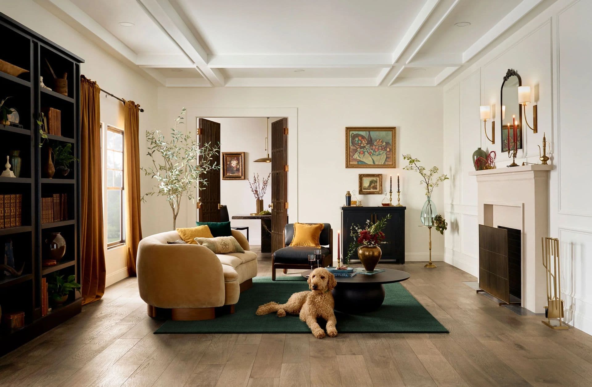 Dog on Floor Home Hero