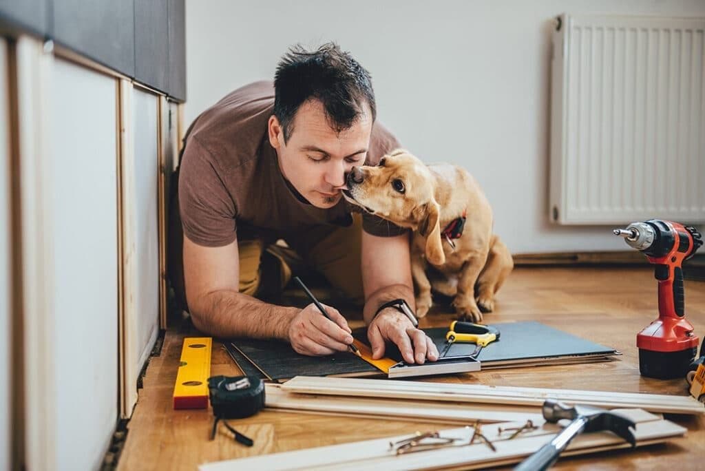 dog floor