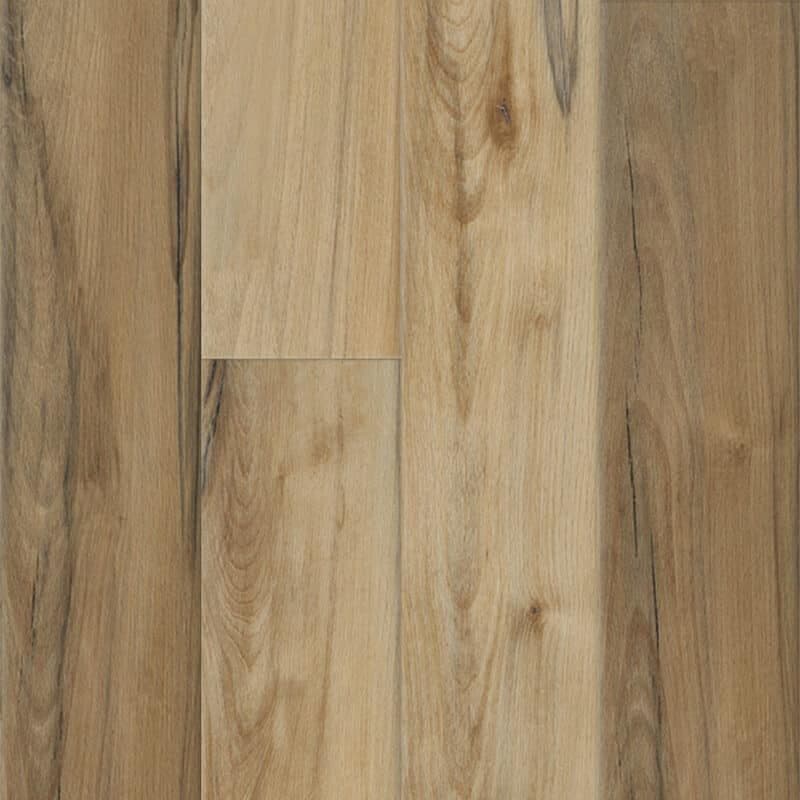 Imperial Beech