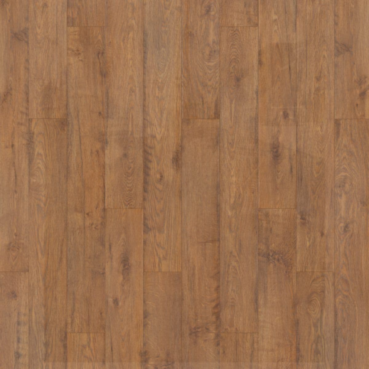 Sun Dried Oak
